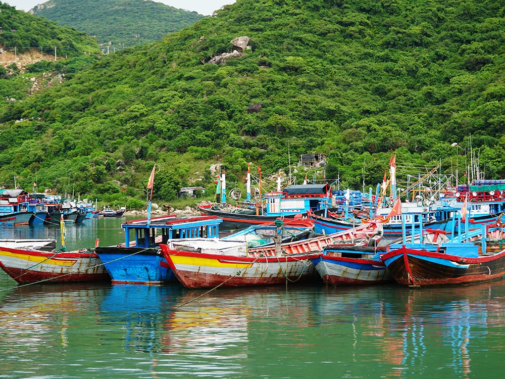 Ninh Thuận: Huy động toàn lực ứng phó bão Damrey ảnh 1 Ninh Thuận: Huy động toàn lực ứng phó bão Damrey ảnh 1