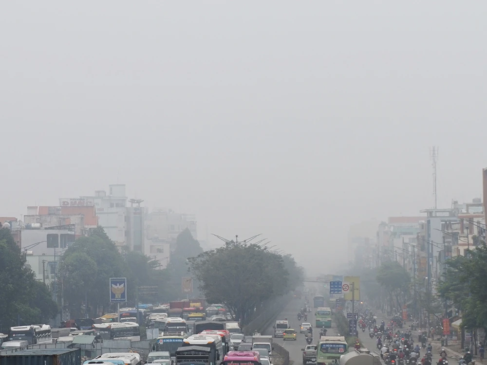 TP.HCM có sương mù như Đà Lạt ảnh 2