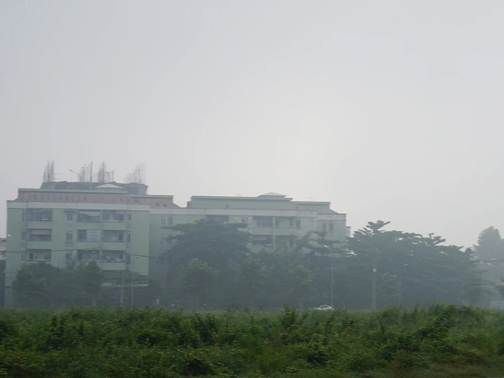 TP.HCM có sương mù như Đà Lạt ảnh 5