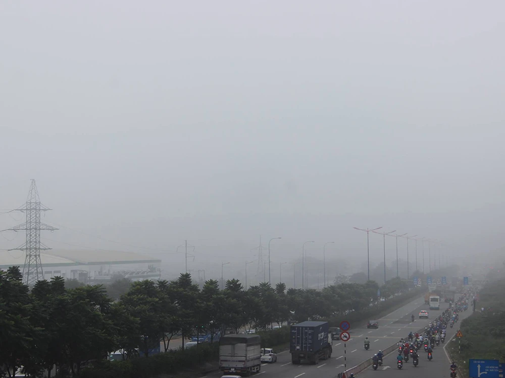 TP.HCM có sương mù như Đà Lạt ảnh 8