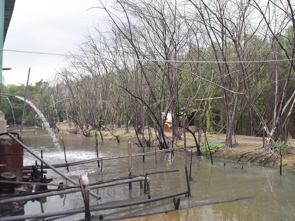Nấu hàng trăm ngàn lít nhớt lậu, xả thải ra môi trường ảnh 2
