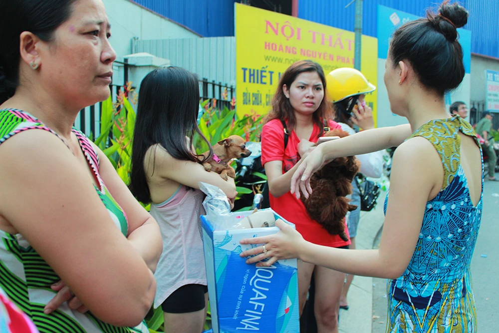 Cư dân Carina dọn đồ đạc đến nơi khác ở tạm đêm nay ảnh 3