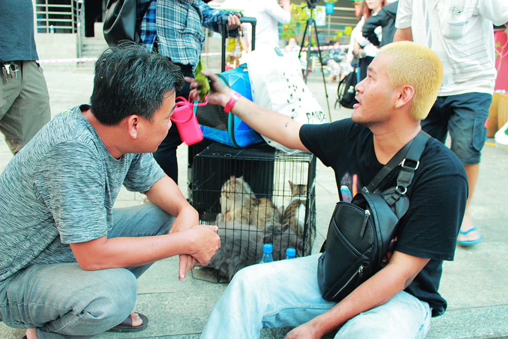 Cư dân Carina dọn đồ đạc đến nơi khác ở tạm đêm nay ảnh 7