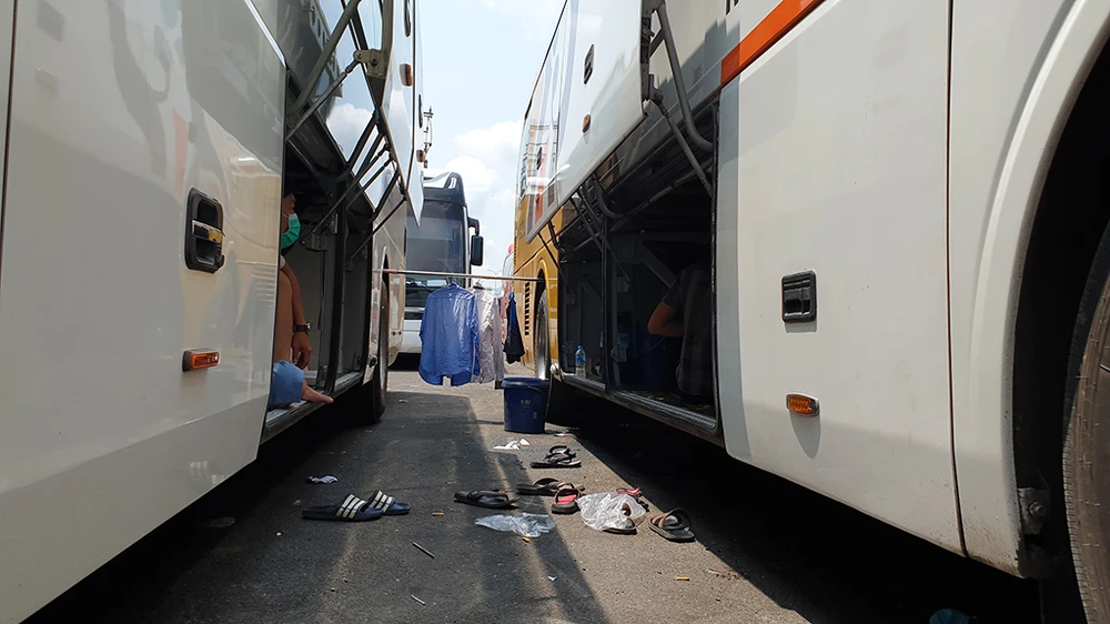 xe-dua-ruoc/tai-xe-xe-khach-va-vat-giua-troi-nang_udnq