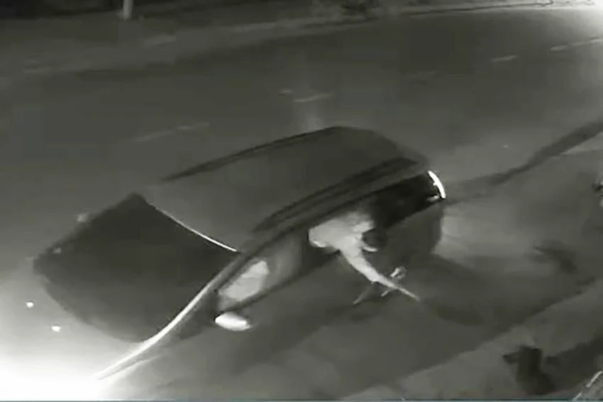 Trước đó, giữa tháng 3, ông NNT (38 tuổi, ngụ huyện Củ Chi, TP.HCM) cũng cho biết vừa bị kẻ gian đi ô tô trộm một con chó. Ảnh chụp từ clip