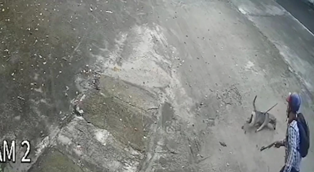 Người ngồi sau bắn gục con chó rồi cùng đồng phạm tháo chạy. Ảnh chụp từ clip