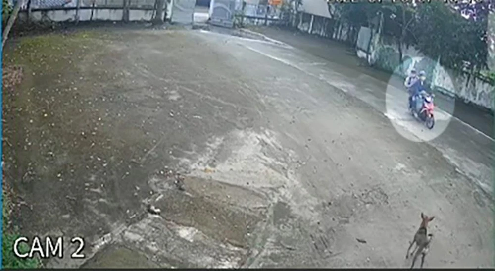 Hình ảnh cả hai chạy vào sân nhà dân bắt trộm chó. Ảnh chụp từ clip