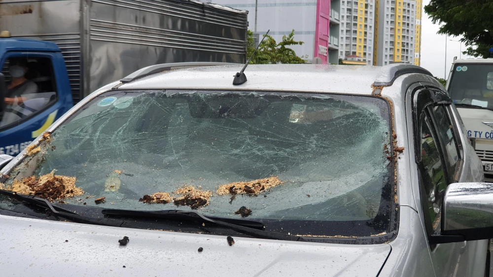 Theo ông V, thời điểm này đã phát hiện nhưng lùi xe không kịp. Ảnh: NT