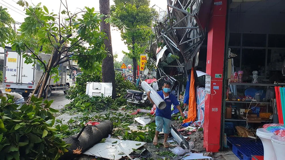 Một cây dầu cổ thụ đổ xuống, cành lá xanh tốt đập nát mái hiên của một căn nhà trên đường Nguyễn Ảnh Thủ. Ảnh: NT