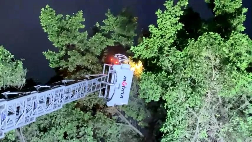 Cảnh sát huy động xe thang để xử lý, di dời tổ ong vò vẽ. Ảnh: HT