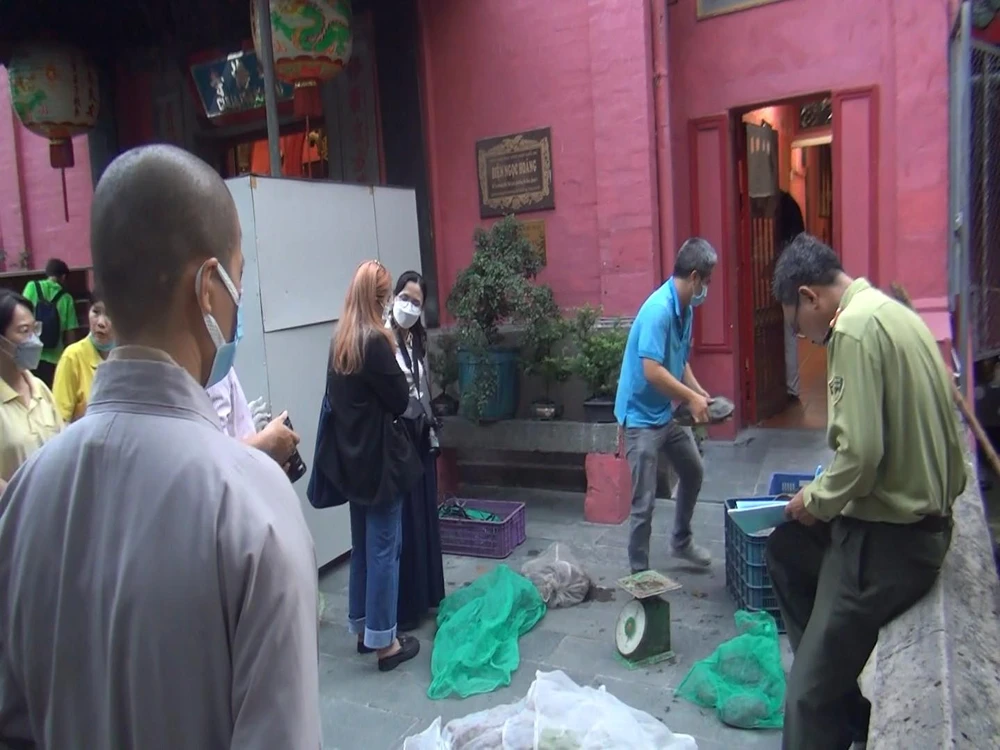 Cán bộ kiểm lâm đã tới chùa Phước Hải ở quận 1 tiếp nhận hơn 50 con rùa các loại. Ảnh: HT