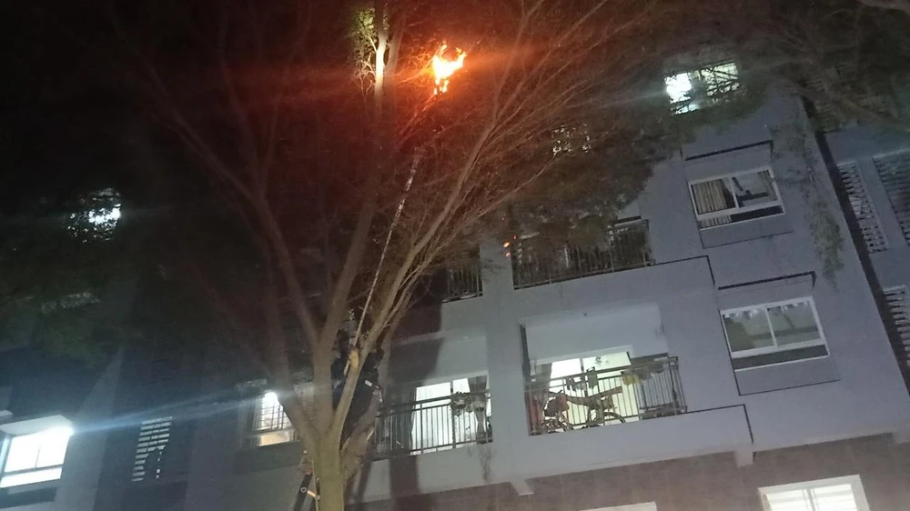 Lửa được lực lượng chức năng sử dụng để xử lý tổ ong ở trên cao. Ảnh: CA Lửa được lực lượng chức năng sử dụng để xử lý tổ ong ở trên cao. Ảnh: CA