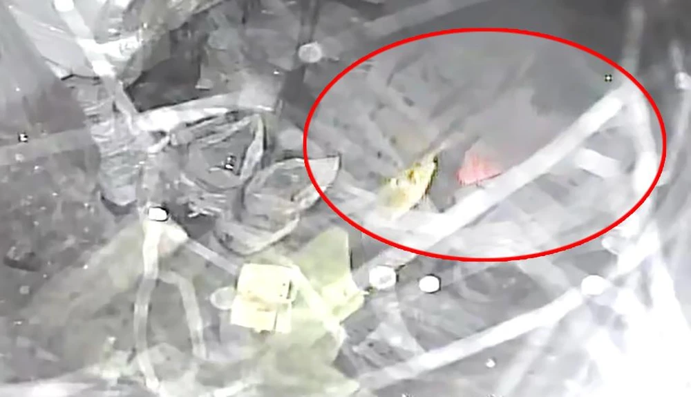 Nam nhân viên vào phòng để tiền, lục lọi rời rời đi với một chiếc túi. Ảnh chụp từ clip