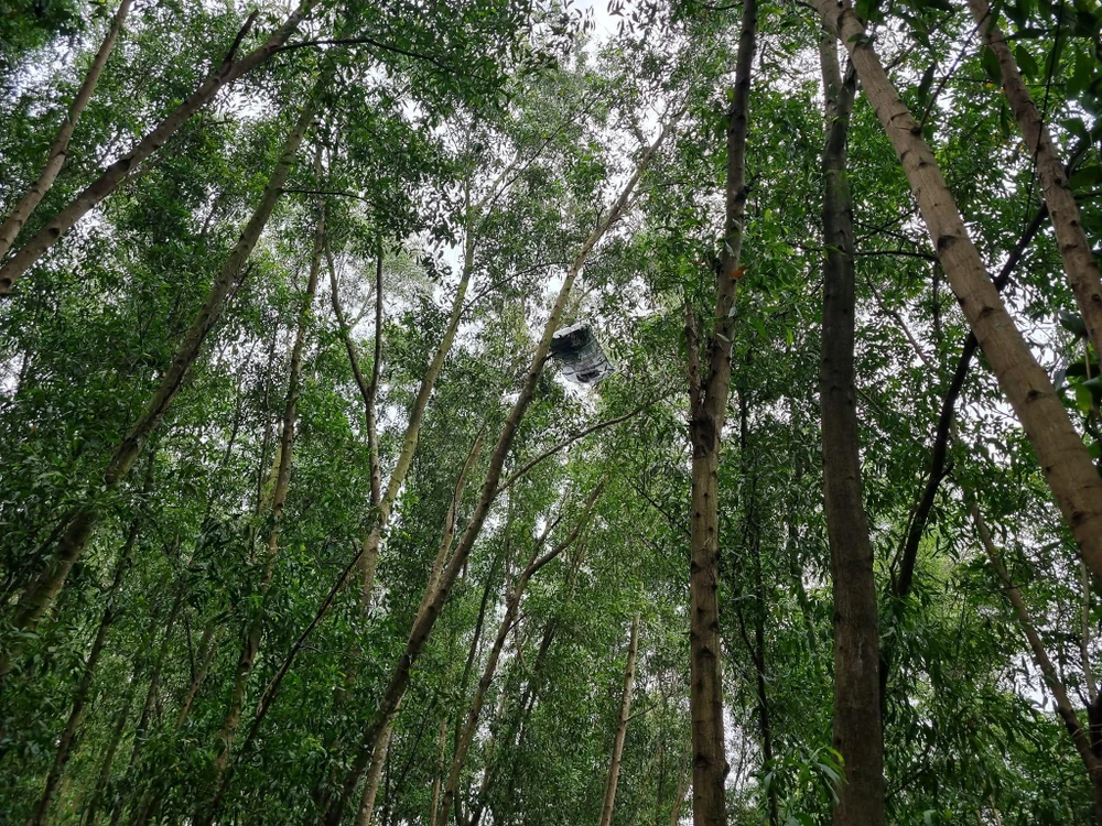 Một mảnh vỡ của chiếc xe văng lên ngọn cây. Ảnh: Minh Công