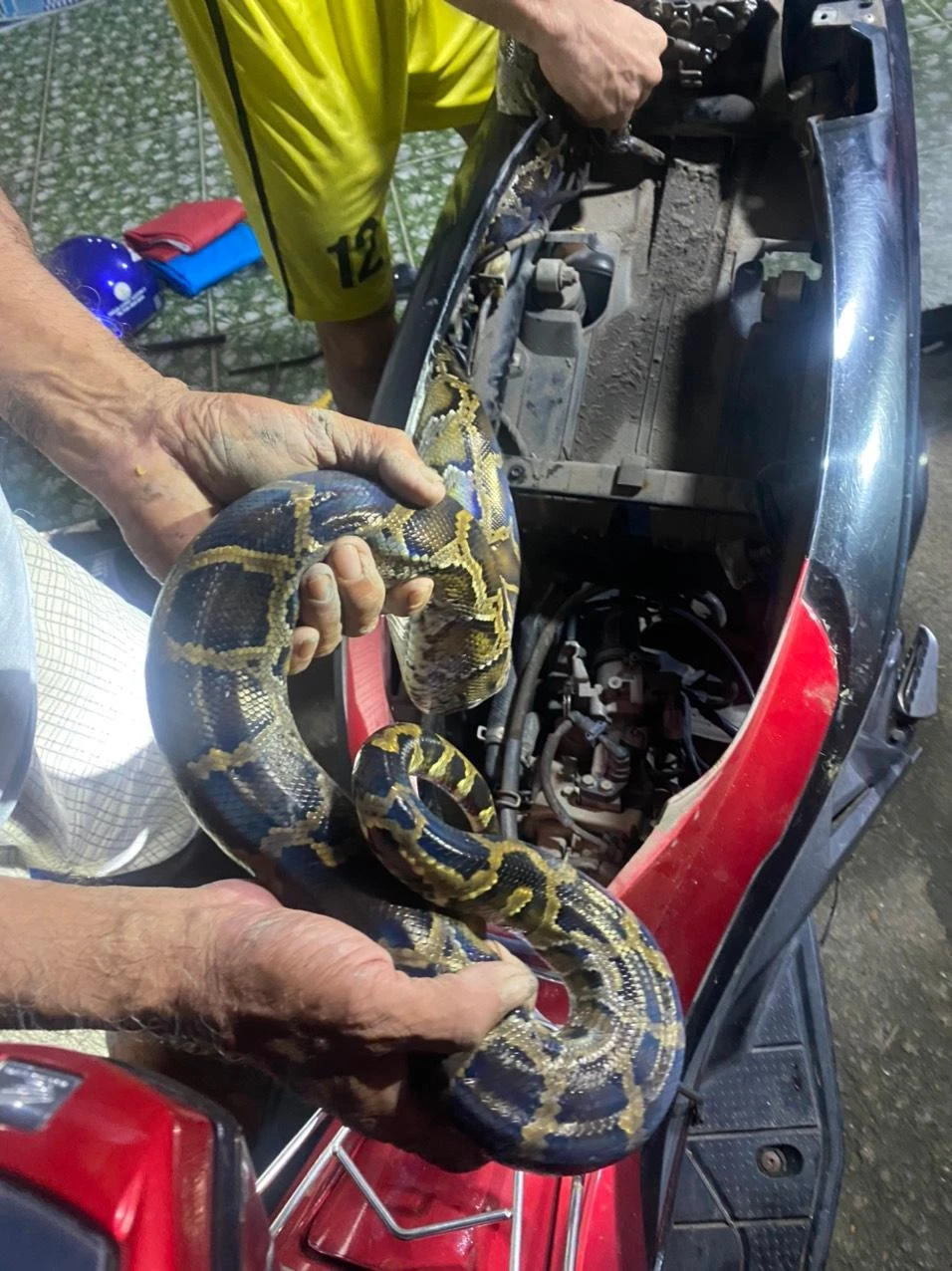 tran-dat-dai-2-met-trong-xe-may