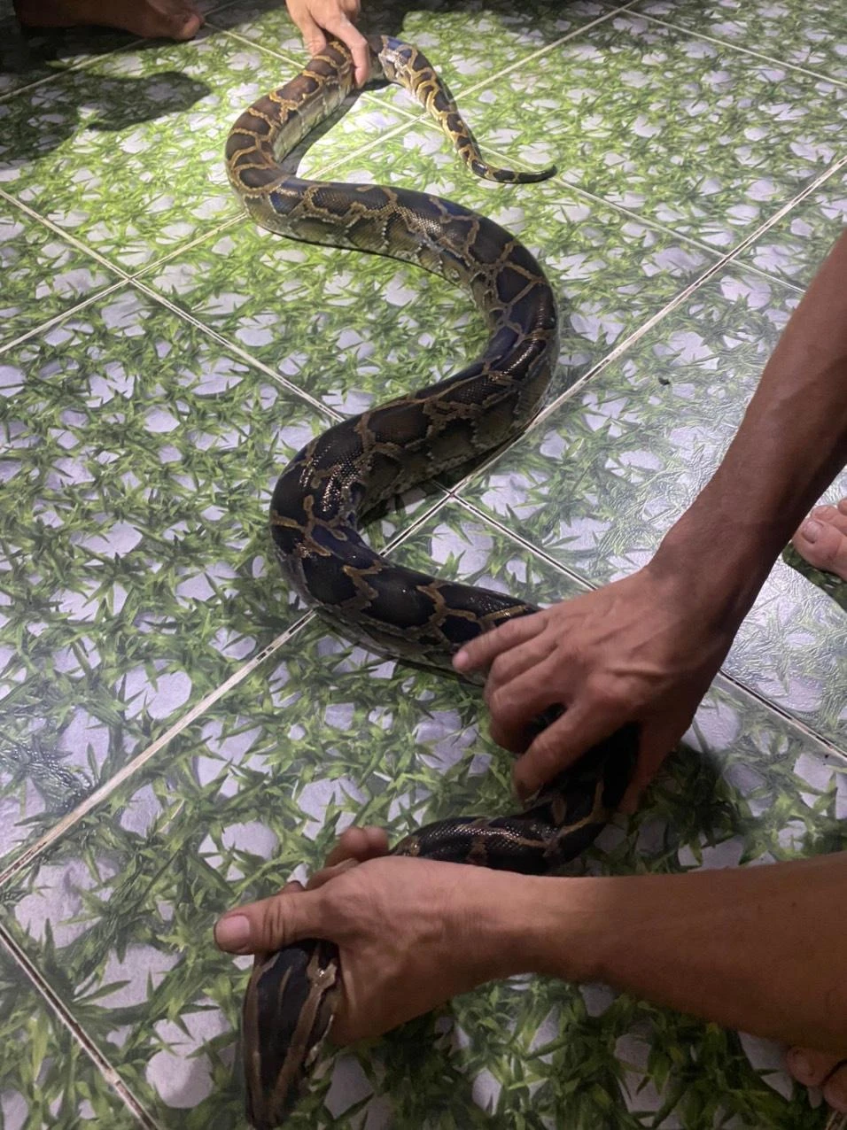 tran-dat-dai-2-met-trong-xe-may