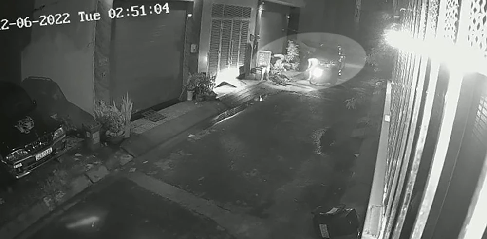 Sau đó, hai người này chạy xe máy tới lấy cây mai. Ảnh chụp từ clip