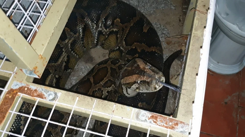 ban-giao-tran-khung-hon-5-met-nang-hon-nua-ta