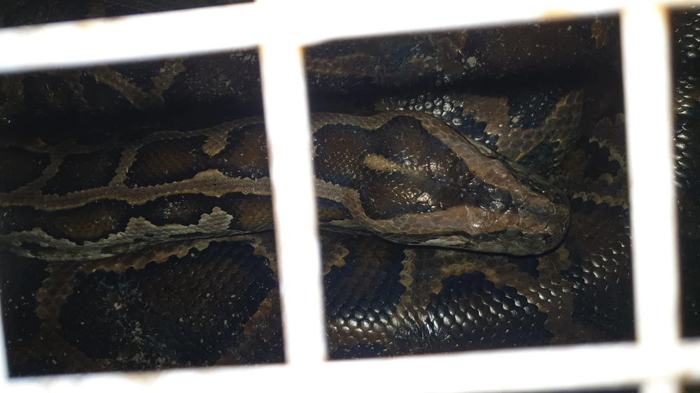 ban-giao-tran-khung-hon-5-met-nang-hon-nua-ta