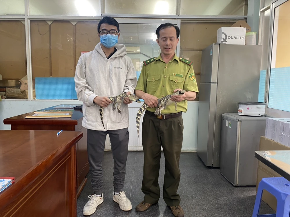 sinh-vien-ban-giao-2-con-ca-sau-cho-kiem-lam