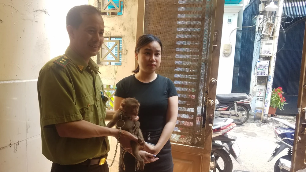 Người dân đã bàn giao cho khỉ cho lực lượng kiểm lâm. Ảnh: HT
