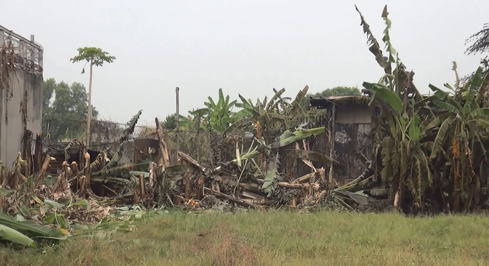 Hiện nguyên nhân vụ cháy đang được điều tra. Ảnh: HT