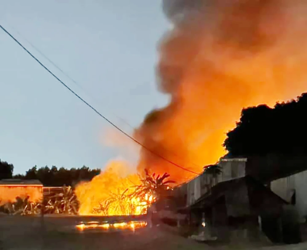 Đám cháy bùng lên dữ dội từ căn nhà trên đường Võ Thị Hồi, huyện Hóc Môn. Ảnh: HT