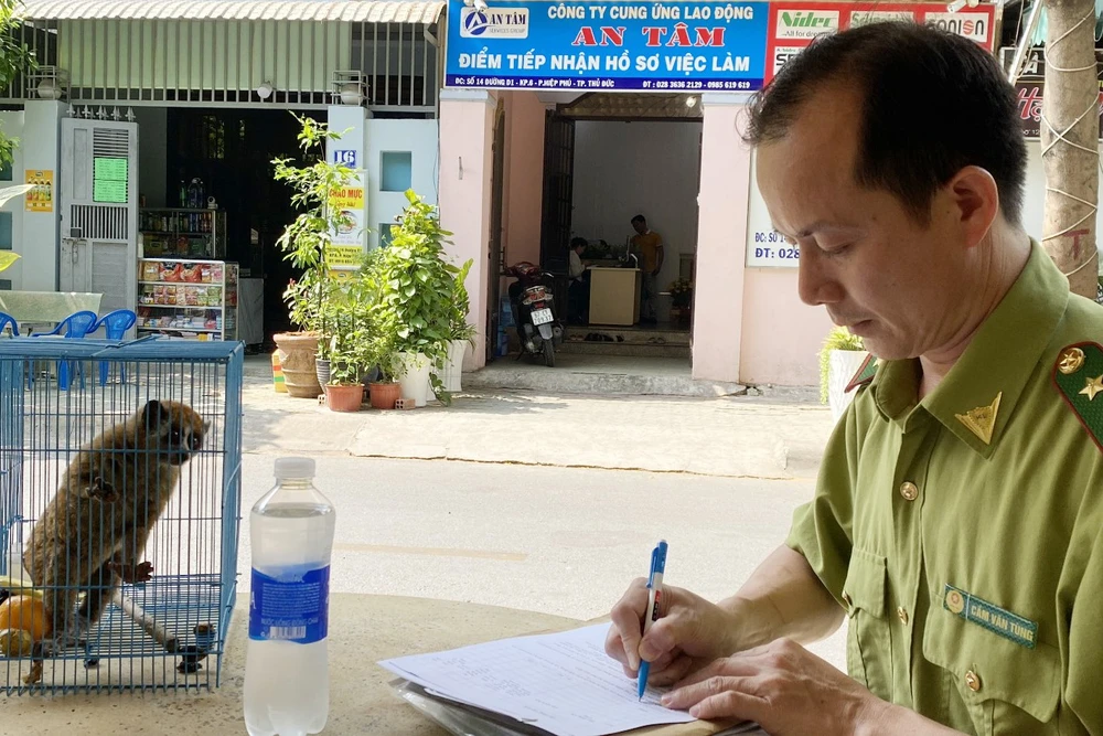 Bàn giao con culi quý hiếm ở thủ đức