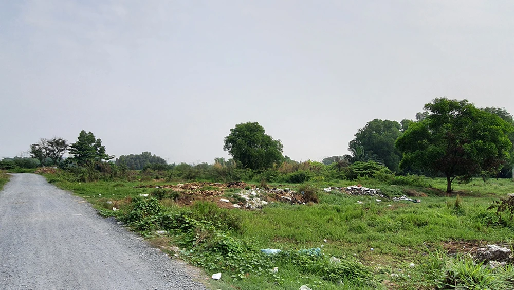 Khu vực phát hiện người đàn ông tử vong trong tư thế treo cổ ở huyện Củ Chi, TP.HCM. Ảnh: HT