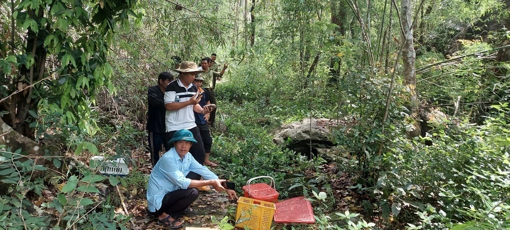 Những cá thể động vật hoang dã được thả về Vườn quốc gia Phước Bình, tỉnh Ninh Thuận. Ảnh: HT
