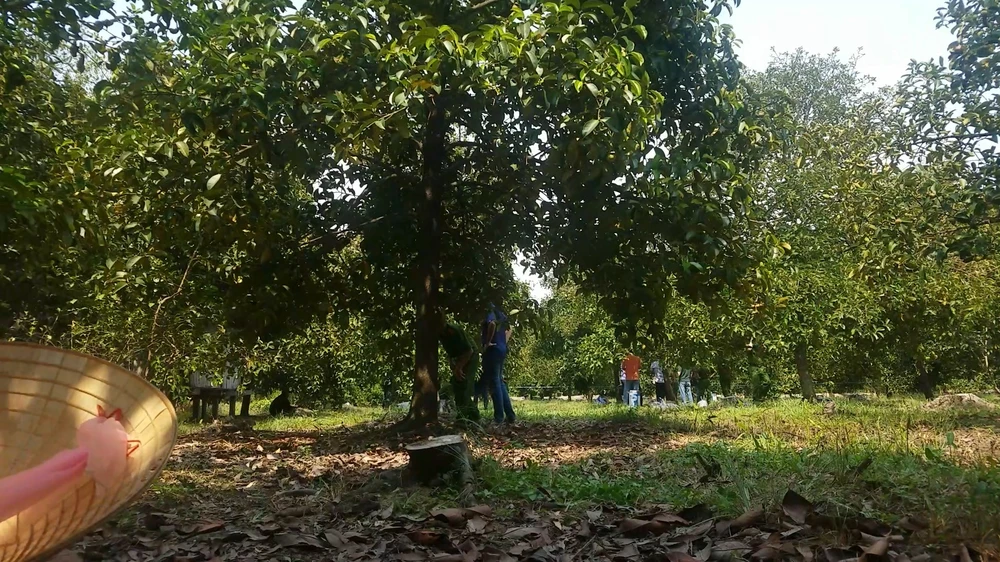 Nơi phát hiện bộ xương chỉ cách hiện trường phát hiện thi thể người phụ nữ có nhiều vết thương khoảng 600 m. Ảnh: HT