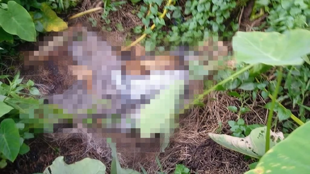 Bộ xương người được phát hiện trong lùm cỏ ở xã Trung An, huyện Củ Chi. Ảnh: HT