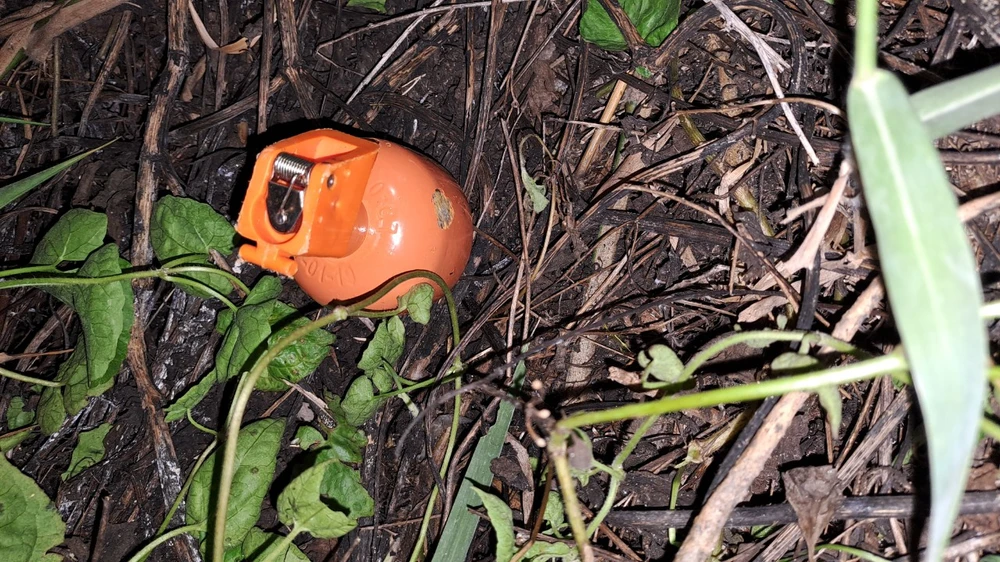 Vật giống lựu đạn người dân phát hiện gần hiện trường là lựu đạn huấn luyện, không có khả năng sát thương. Ảnh: NDCC Vật giống lựu đạn người dân phát hiện gần hiện trường là lựu đạn huấn luyện, không có khả năng sát thương. Ảnh: NDCC