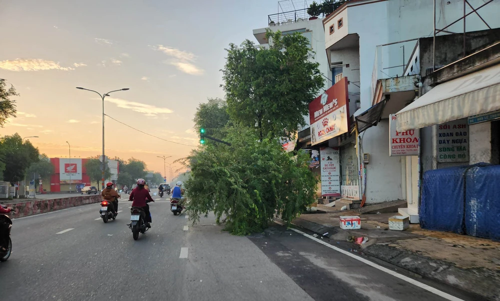 Trên đường Cộng Hòa, quận Tân Bình; đường số 7, quận Gò Vấp... cũng có cây ngã đổ. May mắn các sự cố này không khiến ai bị thương. Ảnh: HT