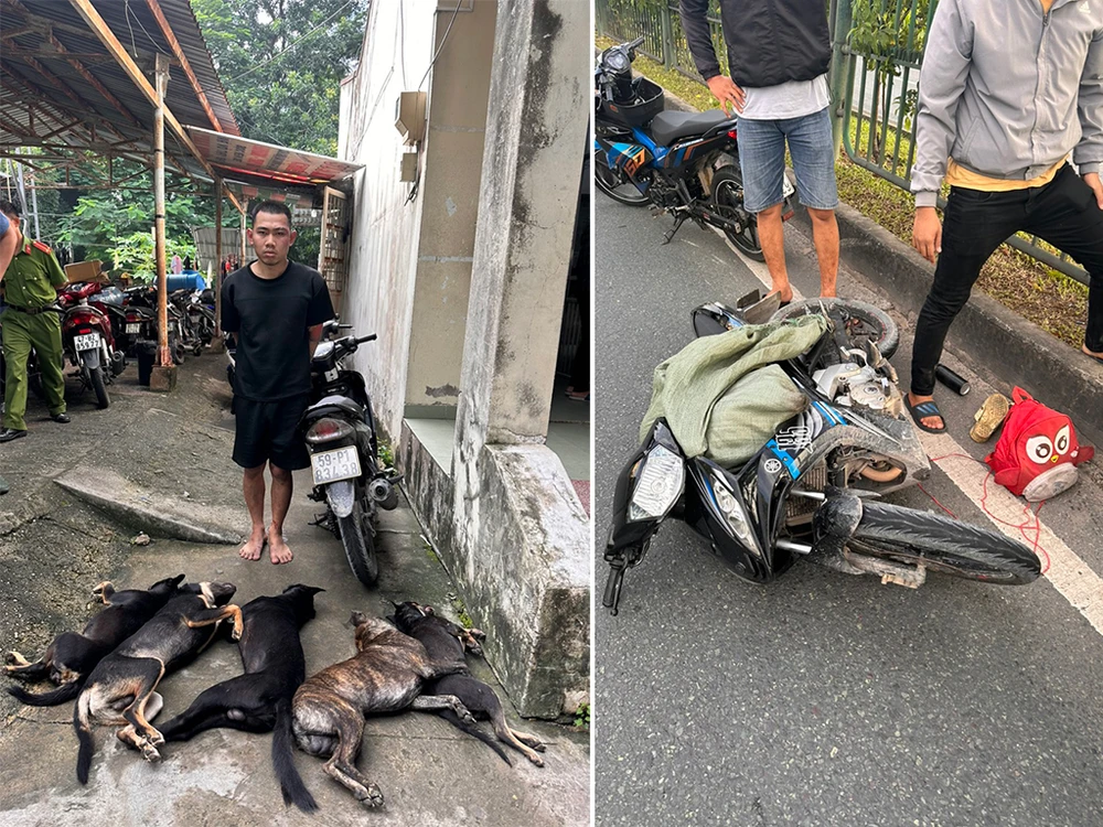 Trong quá trình trốn chạy, những người trộm chó đã dùng nhiều cách như ném ớt bột, xịt hơi cay... để chống trả công an. Ảnh: CA