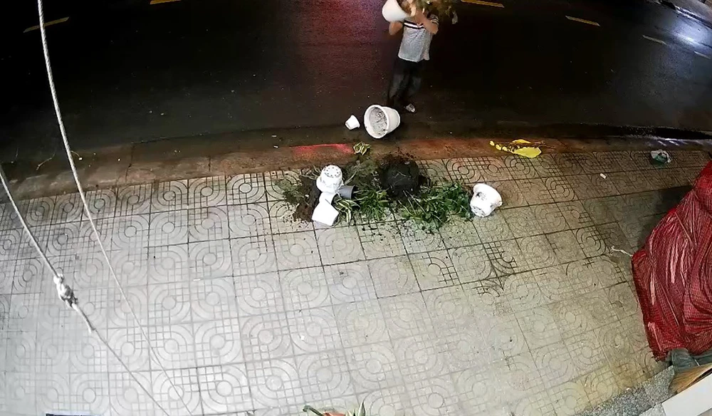 Người đàn ông mang các chậu cây vứt trước nhà chị S trên đường Phú Thọ Hòa, quận Tân Phú. Ảnh cắt từ clip