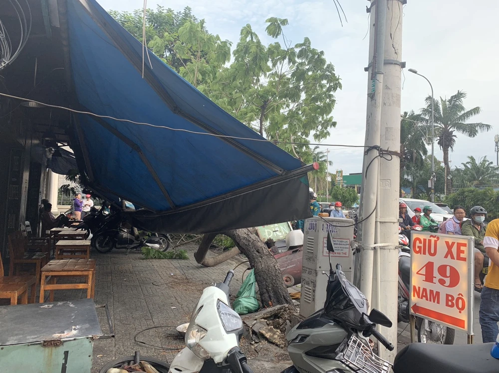 Cây bật gốc đè trúng nhiều xe máy trước quán cà phê ở Tân Phú