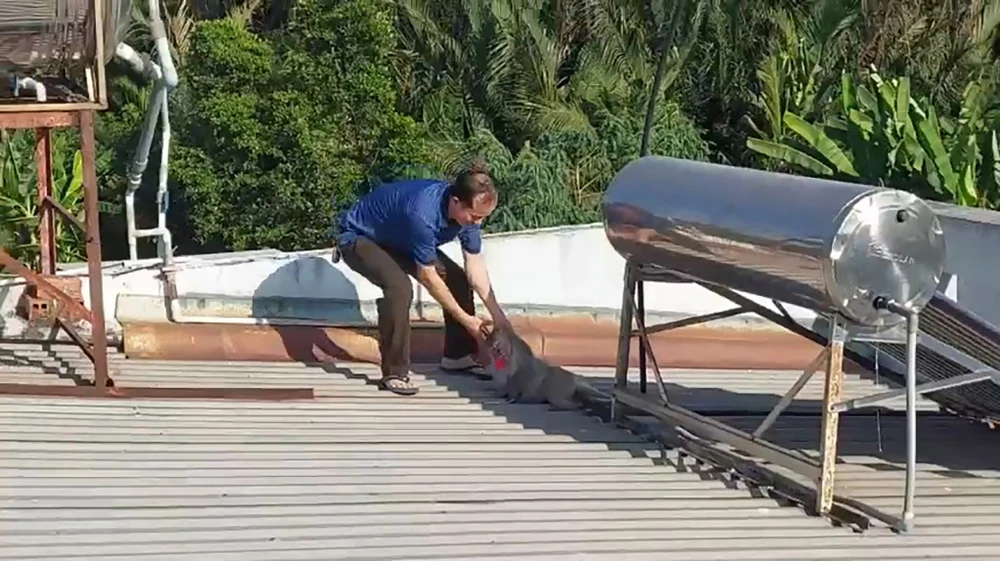 Khỉ quậy cắn chết chó người dân ở Nhà Bè bị bắt