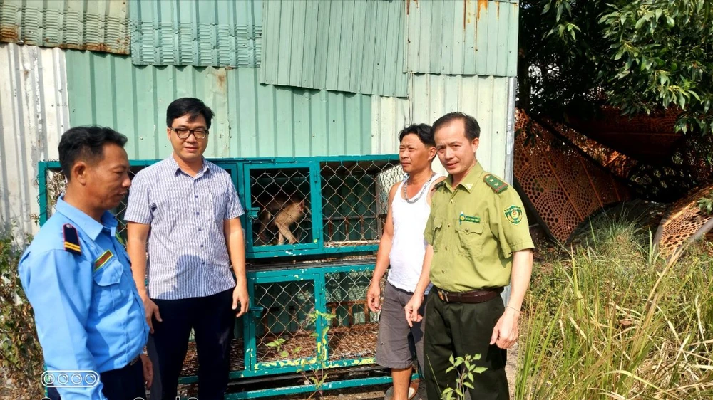 Đã bắt con khỉ cắn nhân viên quán cà phê quận 12