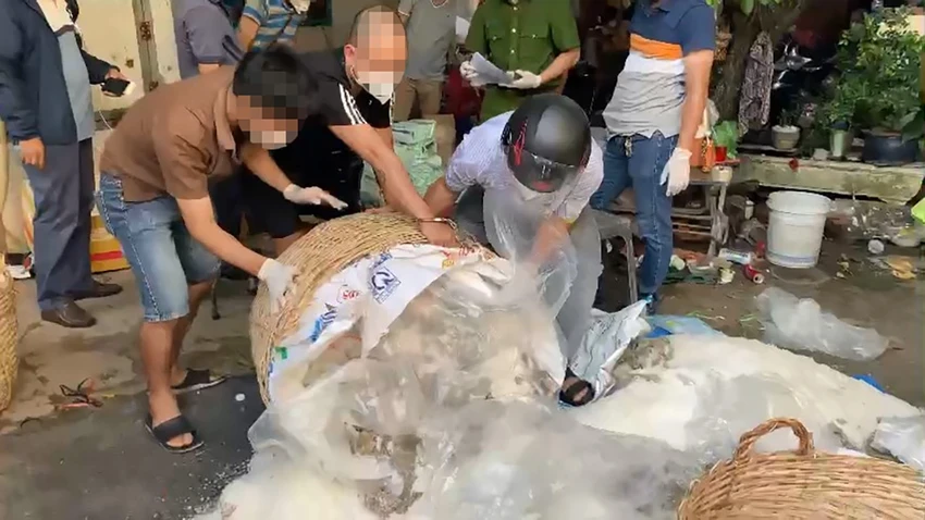 Phá đường dây ma túy lợi dụng mã luồng xanh trong đại dịch COVID-19