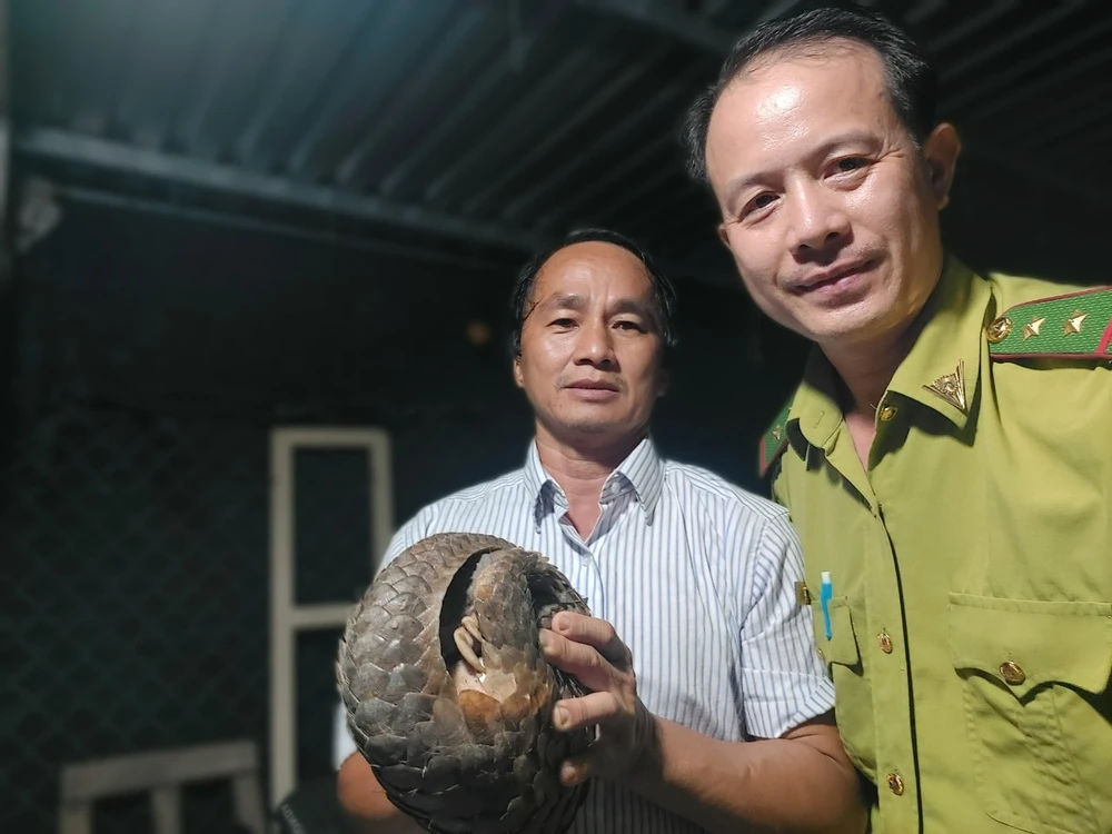 Kiểm tra vườn lan khi chó sủa ran, người đàn ông bắt được tê tê quý