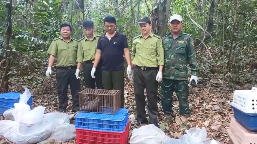 Rái cá quý hiếm 'lưu luyến' các cán bộ kiểm lâm khi được thả về Đồng Nai