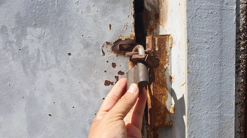 Người dân báo mất 9 con gà đá giá hơn 20 triệu ở Bình Tân