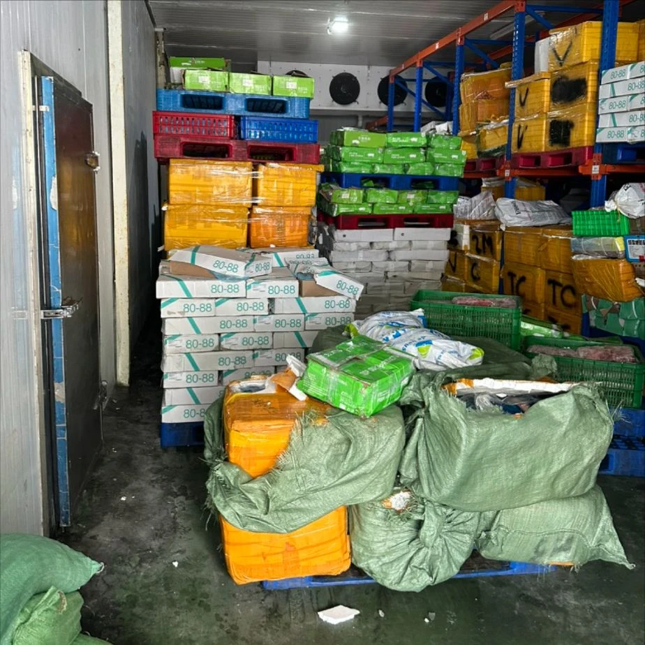 Gần 8 tấn bao tử, dồi trường heo, trứng gà non không rõ nguồn gốc ở TP Thủ Đức