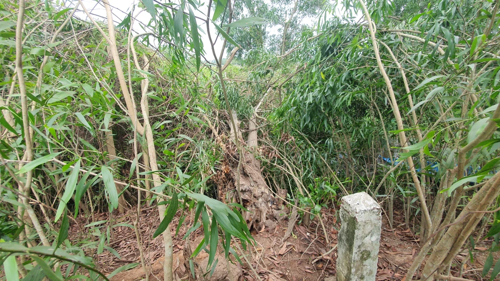 Nhiều người chỉ biết đứng nhìn người đàn ông bị điện giật, chết trên cột điện