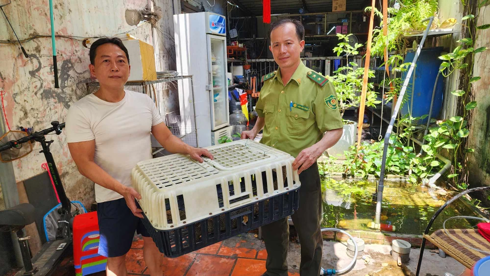 Nghe chó sủa lúc 12 giờ đêm, người đàn ông ở Gò Vấp bắt được con vật quý