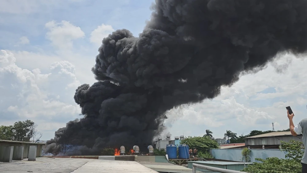 Công an nghi vấn có người đốt cỏ gây cháy bãi pallet hàng ngàn mét ở Bình Chánh