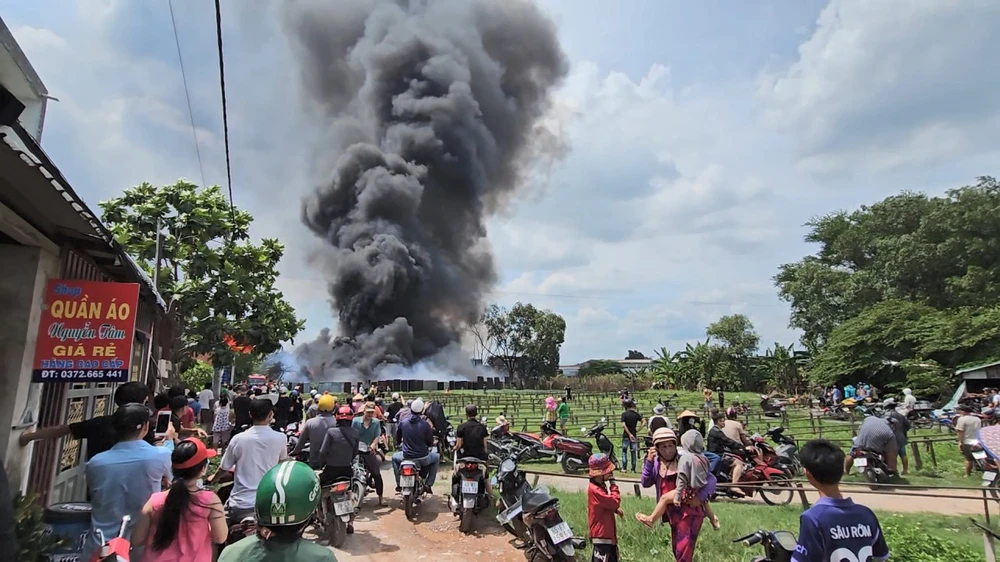 Công an nghi vấn có người đốt cỏ gây cháy bãi pallet hàng ngàn mét ở Bình Chánh