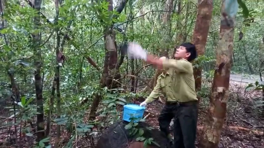 Con chim quý bay vào trường học ở Quận 4 và 24 động vật được thả về tự nhiên