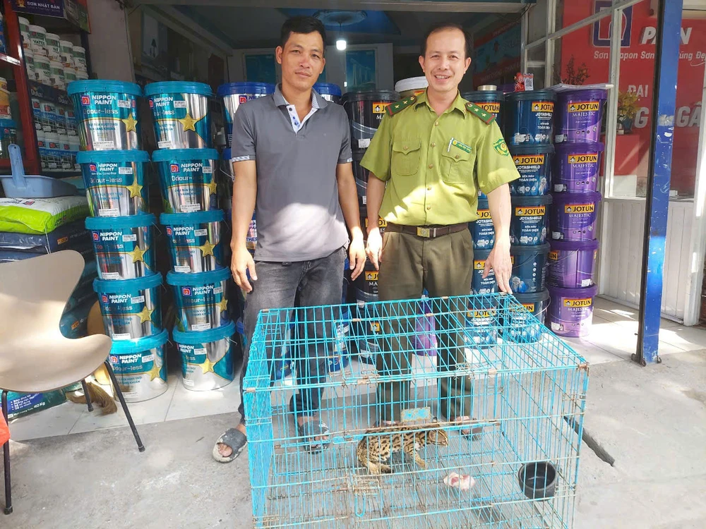 Mất 4 đến 5 con gà, người đàn ông ở Thủ Đức bẫy được con vật quý